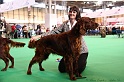 Crufts2011 206